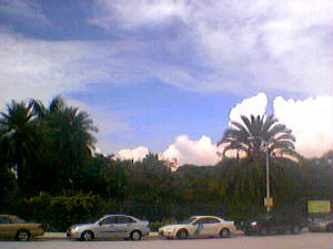 miamiview1001finallybluesky.jpg